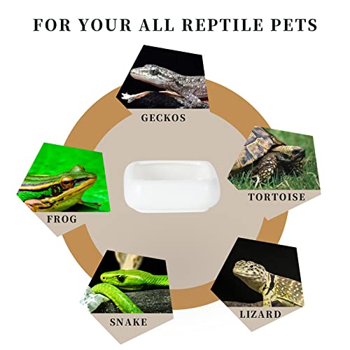 Ceramic Reptile Food Bowls, Reptile Water Food Dish (White, Medium-1Pack)