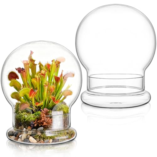 2 Pack Round Glass Cloche Domes with Air Hole and Base, 4.6 X 6.6 Inches Clear Terrarium Planter, Cloche Planters, Terrarium Bell Jar, Humidity Dome for Plants, Borosilicate Glass