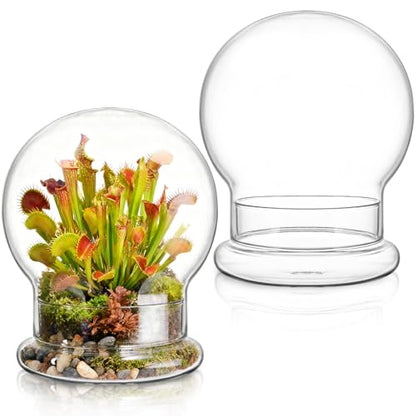 2 Pack Round Glass Cloche Domes with Air Hole and Base, 4.6 X 6.6 Inches Clear Terrarium Planter, Cloche Planters, Terrarium Bell Jar, Humidity Dome for Plants, Borosilicate Glass