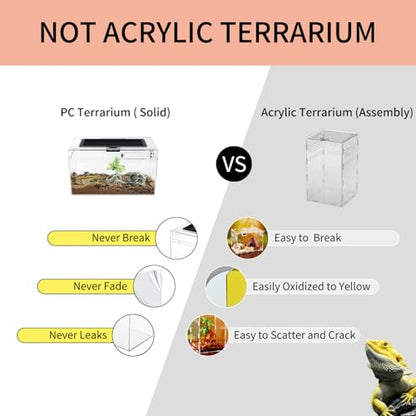 Mini Reptile Terrarium Set,11.8" x 7"x 6" Low Reptile Tank with Full View Visually Appealing，for Insect，Fish，Tarantula，Hermit Crab，Jumping Spider，Iguana，Tortoise，Leopard Gecko，Frog，Bearded Dragon - size: 11.8" x 7"x 6"