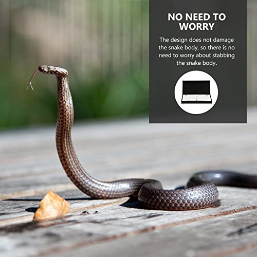 Totority 1set Stainless Steel Snake Gender Detector Probe Easy Use Probes for Accurate Gender Identification of Reptiles Essential Kit for Snake Enthusiasts