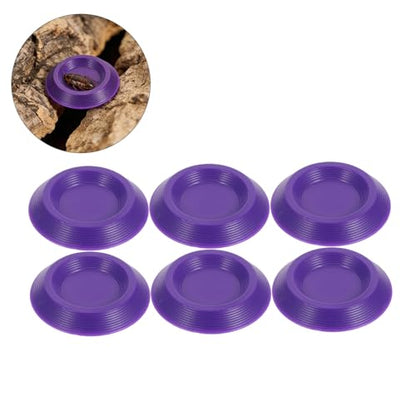 NUOBESTY 12pcs Reptile Feeding Dish Set Plastic Small Feeder Bowls for Frogs, Lizards, Chameleons and Bearded Dragons Terrarium Feeding Station