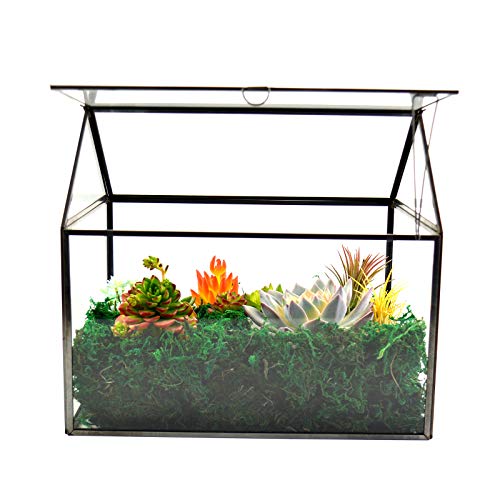 Black 1 Large Glass Plant Terrarium Kit with Lip Greenhouse for Succulents - color: Black 1