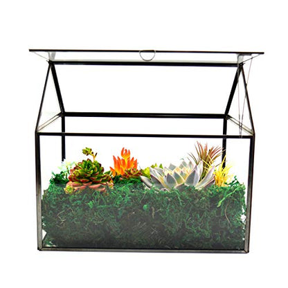 Black 1 Large Glass Plant Terrarium Kit with Lip Greenhouse for Succulents - color: Black 1