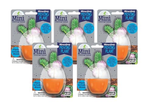 Toys By Nature Mini Terrarium Moving Plant Bundle, 100% USA Made Complete Starter Kit for Indoor Planting, Interactive Gardening Experience and Easy to Grow Seeds Just Add Water, 5-Pack - color: Moving Plant Bundle