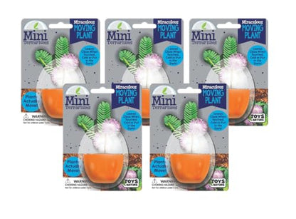 Toys By Nature Mini Terrarium Moving Plant Bundle, 100% USA Made Complete Starter Kit for Indoor Planting, Interactive Gardening Experience and Easy to Grow Seeds Just Add Water, 5-Pack - color: Moving Plant Bundle