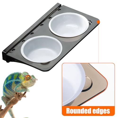 Magnetic Gecko Ledge, Reptile Feeder Ledge with 1 Feeding Cup, Reptile Food & Water Bowl for Arboreal Reptiles, Tree Frogs, Geckos, Beetles, Chameleons - color: Single Bowl