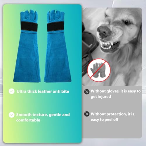 23.43" Animal Handling Gloves,Cowhide Bite Proof, Fits Dogs/Cats | 23.43" Extra Long Forearm Protection, Snake & Scratch Resistant, Reinforced Leather, Fits Reptiles, Birds & Falconry - color: Blue（23.43"）