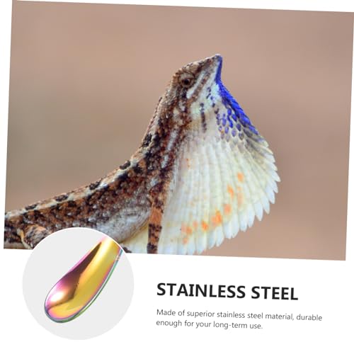 Toddmomy 2Pcs Stainless Steel Lizard Feeding Spoon Long Handle PET Food Scoop for Reptiles and Small Animals Sturdy and Easy to Use Feeding Tool