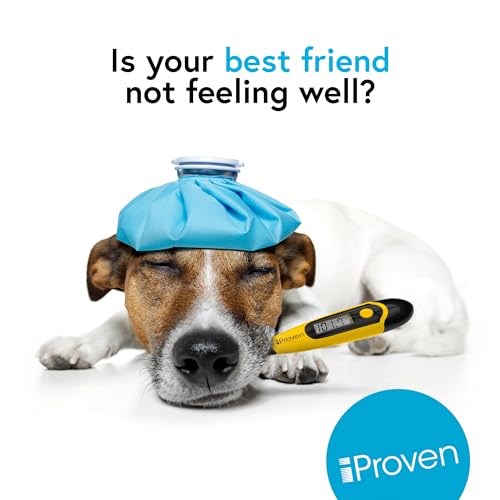 iProven Dog & Cat Thermometer for Fast and Accurate Fever Detection | Comfortable Flexible Tip, Waterproof Pet Thermometer, Quick Readings in 20 sec, Whelping and veterinary supply, DTK-117Y