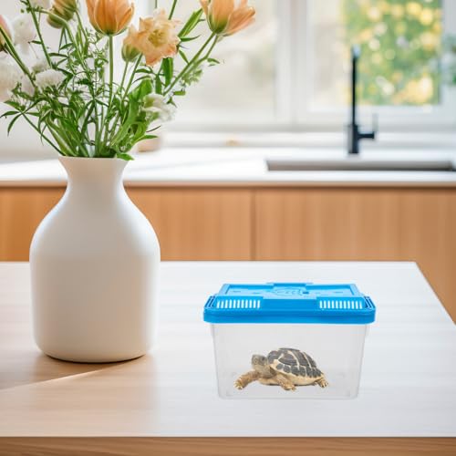 Small Turtle Tank with Lid and Plastic Aquarium Box Portable Handheld Fish Bowl for Reptiles and Hamster Transport in Medium Blue with Fish Pattern