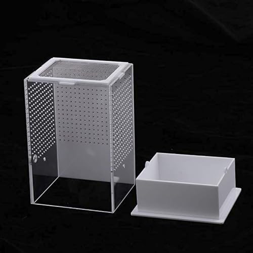 OMEM Reptile Breeding Box, Insect Incubator, for Orchid Mantis, African Phantom Mantis, Reptile Resting Habitat and Entertainment