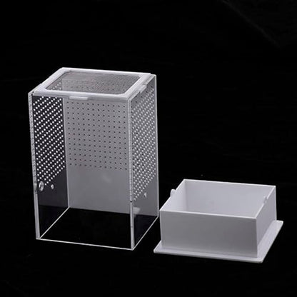 OMEM Reptile Breeding Box, Insect Incubator, for Orchid Mantis, African Phantom Mantis, Reptile Resting Habitat and Entertainment