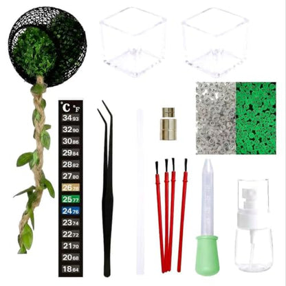 11PCS Jumping Spider Accessories Kit – Magnetic Hideout & Feeding Set | Complete Enclosure Starter Kit with Feeding Tongs, Dropper, Spray Bottle, Thermometer Strip & Brushes for Beginners