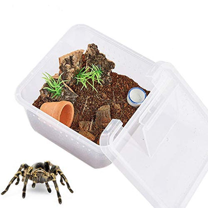 Critter Keeper，Mini Insect Carrier, Portable, Ventilated, Enough Viewing Space, with 5 Accessories, Suitable for Spiders, Geckos, Cockroaches, Snails, Hermit Crabs（Flowerpot）