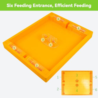 2 Pack Beehive Feeder for Beehive Langstroth 10 Frame Beekeeping Supplies 1.2 Gallon, Bee Top Feeder for Feeding Water or Sugar Cake to Bee Hives Beekeeping Feeder Equipment - size: 2 pcs