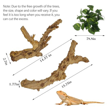VCEPJH 2 Pack Reptile Wood Branches, Snake Climbing Branch Natural Bearded Dragon Log Tank Accessories Tree Trunk for Chameleon Gecko Snake Frog Spider - size: Pomegranate Wood (L:13.7"-15.7"-2pcs)