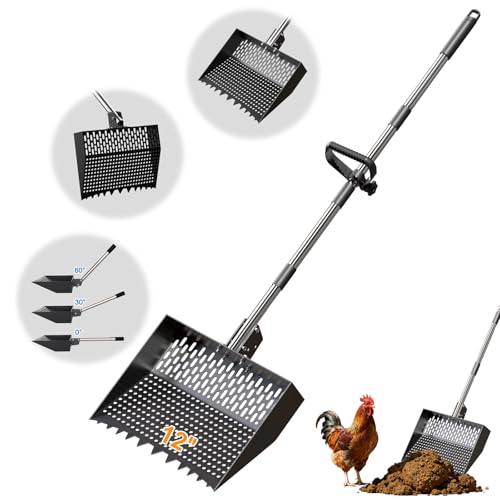 12-Inch 2-in-1 Chicken Poop Scooper & Rake, Chicken Coop Scoop with Adjustable Stainless Steel Handle （24–64"）, 3 Angles & 2 Sifting Holes, Litter Scoop Sand Sifting Shovel Pooper Scooper (Black) - color: Black