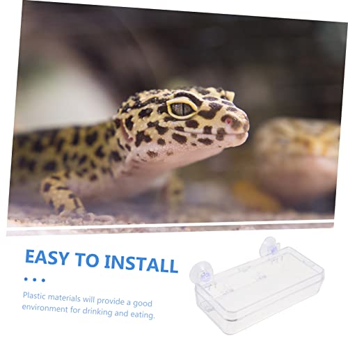 Beavorty 1pc Lizard Feeding Bowl Suction Cup Reptile Feeder Reptiles Reptile Water Bowl Reptile Gecko Feeder Dish Bowl Worm Dish Reptile Bowl Terraium Bowl Gecko Drink Acrylic Suction Basin