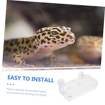 Beavorty 1pc Lizard Feeding Bowl Suction Cup Reptile Feeder Reptiles Reptile Water Bowl Reptile Gecko Feeder Dish Bowl Worm Dish Reptile Bowl Terraium Bowl Gecko Drink Acrylic Suction Basin