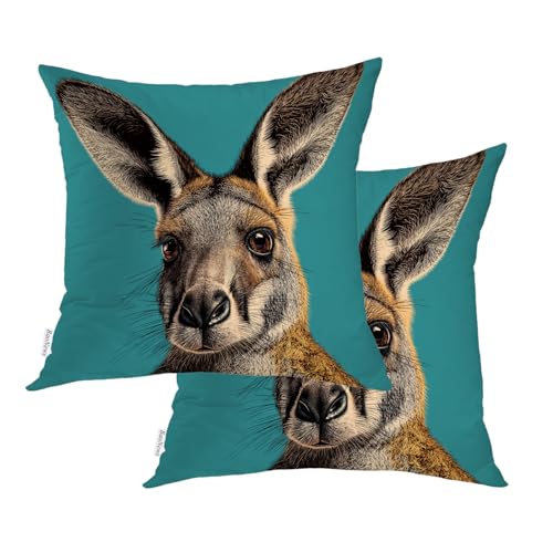 Cute Kangaroo Throw Pillow Covers, Close Up of Cushion Cases Digital Blended Hidden Zipperl Decorative Pillow Covers Square 16X16 in 2 Pcs - color: Cute Kangaroo 37 Brown08, size: 16" x 16" (Pack of 2)