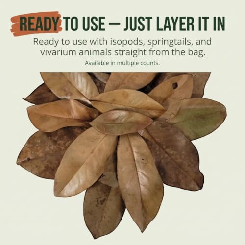 21 Leaves Magnolia Leaves | Bioactive Terrarium Substrate & Supply | Ships Fast from Texas
