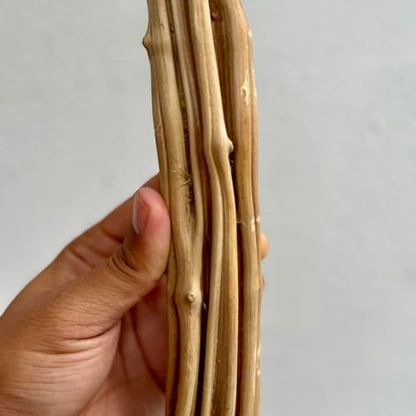 Azil Natural Vine Wood Branch for Reptile Terrarium – 17–20 Inch Climbing Decor for Lizard, Snake, Gecko, Chameleon, Bearded Dragon Tank (2 Piece)