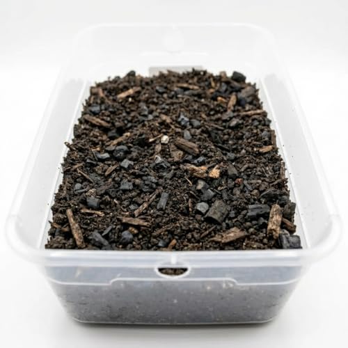 Premium Isopod Habitat Kit | Live Isopod Bundle Cleanup Crew | Live Arrival Nationwide!