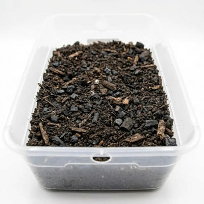 Premium Isopod Habitat Kit | Live Isopod Bundle Cleanup Crew | Live Arrival Nationwide!