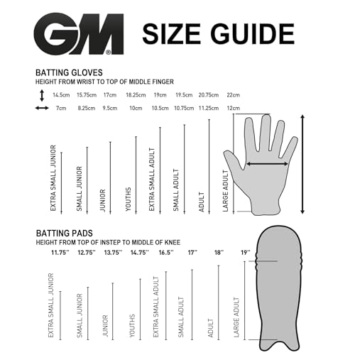 Gunn & Moore GM Aion Premium Cricket Wicket Keeping Premium Gloves ' Various Sizes (Adult/Youth/Boys Size) - style: AION - Boys Size