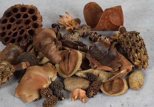 Isopod Botanical Starter kit W/ 45 pods, Cones, Oak Leaf Litter & Feeding Station Best KIT Around