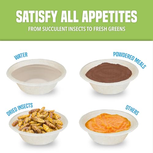 JOR Pet Food and Water Cups, No More Soaking Dishes, Fits on Slim Ledges, No Food Leftover, No Plastic Leftover, Add to Compost or Isopod Tub, Suitable for Gecko Tanks (2 oz, 100 Pack)