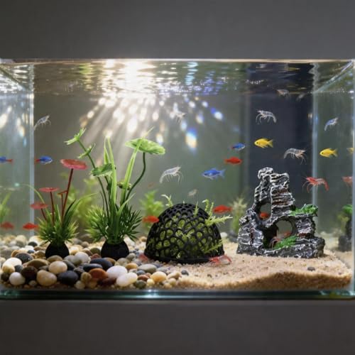 5-piece Aquarium Shrimp Tank Set with Tunnels and Caves for Shrimp Hiding