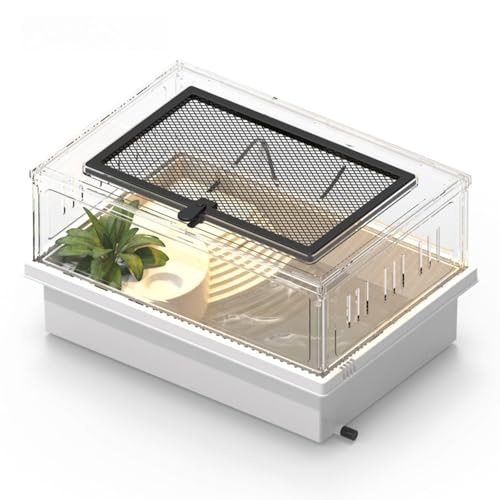 High Transparent Turtle Tank Removable Basking Platform with Drain Hole Household Desktop Terrarium for Reptiles Habitat