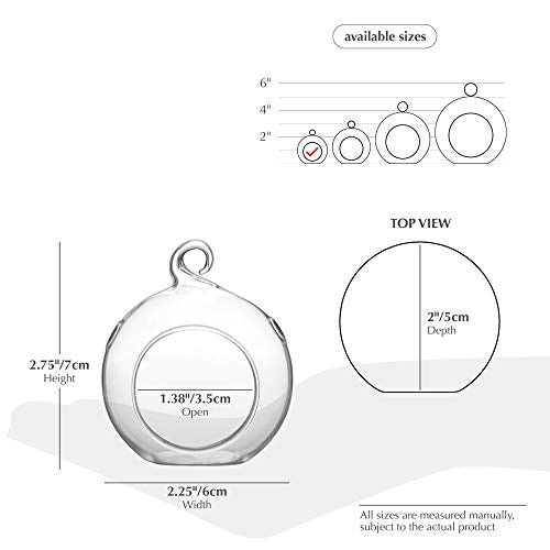 WGV Hanging Terrarium Globe, Width 2.25", Height 2.75", DIY Air Succulent Planter, Clear Glass Vase Orb with Flat Bottom, Candle Holder for Windowsill Outdoor Garden Decor, 24 Pieces Bulk - size: 2" Flat Bottom