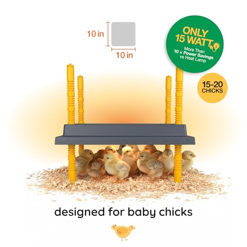 Hatching Time Warmzy 10"x10" Chick Heating Plate – Safe 15W Chicken Coop Heater for 15–20 Chicks with Adjustable Legs | Gentle Low-Heat Brooder Plate for Chicks, Durable Fire-Resistant Chicken Heater - size: 10" x 10" for 15–20 Chicks