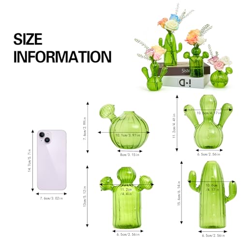 XXXFLOWER Cactus Plant Propagation Station 4 Cactus Vase Terrarium Jars | Desk Plant Cuttings Plant Holders Unique Glass Flower Vase for Hydroponics Plants for Plant Lovers Home Garden Decor - size: 4PCS Cactus Vase