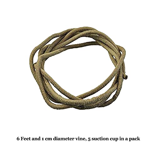 SunGrow 6 ft Reptile Vine for Terrarium, Flexible Climber Lizard Tank Decor, Ball Python Snake Climbing Accessories, Twistable and Bendable Habitat Decor Terrarium Vines for Chameleon, Bearded Dragon