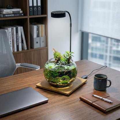 AREPK Aquarium & Terrarium Light, Full Spectrum LED with Auto On/Off Timer | Fits Various Tank Shapes; For Tanks Under 3 Gallons, Betta Tanks, Moss, Succulents, Carnivorous Plants and Mini Landscapes