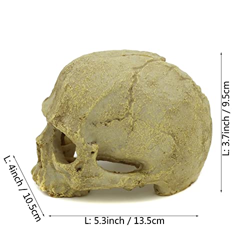 JIHAQUA Aquarium Resin Skull Ornament Snake Hide Decor, Habitat | Reptile Tank Accessories, Basking