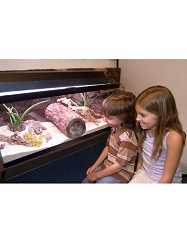 T-Rex Reptile Terrarium Decor - Peek-A-View Log Hollow Hide - Lg Critter Keeper
