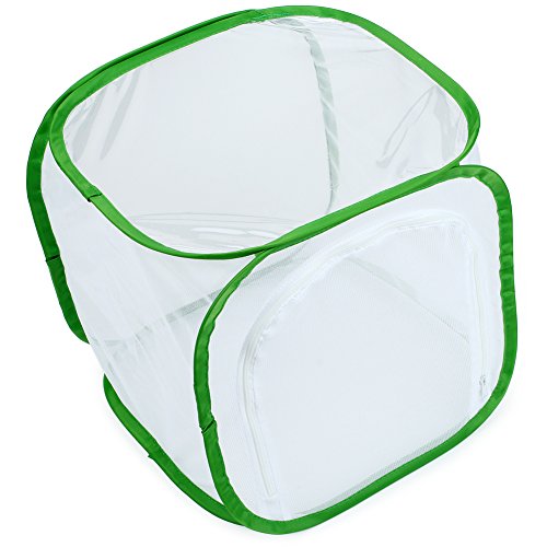 RESTCLOUD Insect and Butterfly Habitat Cage Terrarium Pop-up 12 X 12 X 12 Inches - color: White With Green, size: 12 x 12 x 12 inches