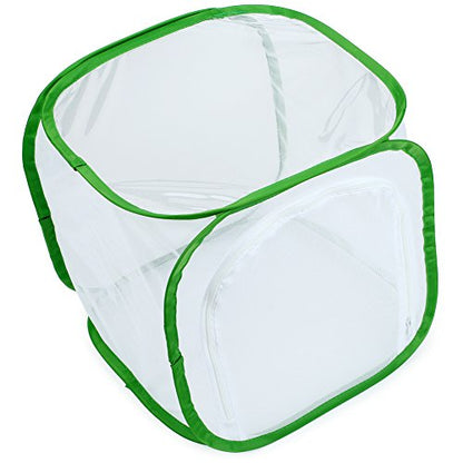 RESTCLOUD Insect and Butterfly Habitat Cage Terrarium Pop-up 12 X 12 X 12 Inches - color: White With Green, size: 12 x 12 x 12 inches