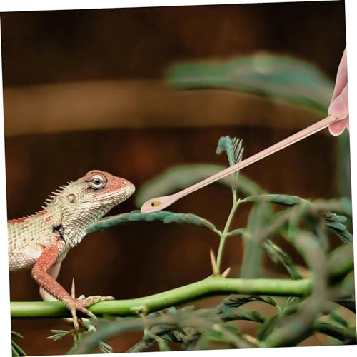 2pcs Reptile Food Spoon Long Handle Feeding Tool for Lizards and Small Pets Stainless Steel Design for Easy Feeding and Convenience - color: Golden