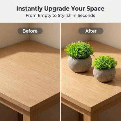 AUUGUU Artificial Potted Plants Faux Greenery in Cement Pots for Shelf, Bookshelf, Office or Home Decor, Small Decorative Fake Plants for Modern Indoor Display