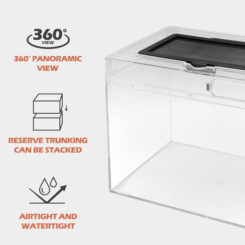 AZV Habitat Terrarium Enclosure, Small Reptile Tank with Bearded Dragon Hammock with AZV Reptile Heat Lamp with 50W UVA UVB 3.0 Light Bulb