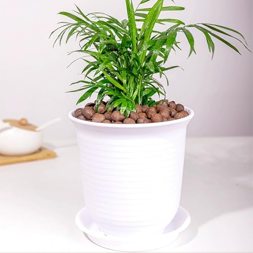 FANTIAN Clay Pebbles for Plants, 2 lbs Aquatic Plant Soil, 8-12 mm | Leca Clay Balls for Plants, Orchid Potting Mix, Soil Drainage, Used in Hydroponic Growing, Help with Root Development - color: Clay Pebbles