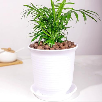 FANTIAN Clay Pebbles for Plants, 2 lbs Aquatic Plant Soil, 8-12 mm | Leca Clay Balls for Plants, Orchid Potting Mix, Soil Drainage, Used in Hydroponic Growing, Help with Root Development - color: Clay Pebbles