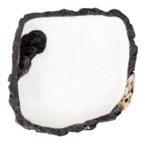 PENN-PLAX Reptology Reptile Fossil Rock Food/Water Dish – Perfect for Bearded Dragons, Geckos, Chameleons, Snakes, Hermit Crabs, and Many More – Large - size: Large