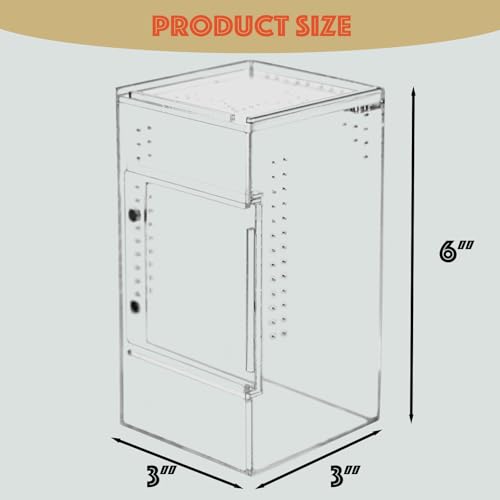 3x3x6 Acrylic Reptile Enclosure for Jumping Spiders & Mantises | One-piece acrylic tank, no assembly needed, water-holding base, crystal-clear walls, ideal for jumping spiders & mini pets - size: 3"3"6"